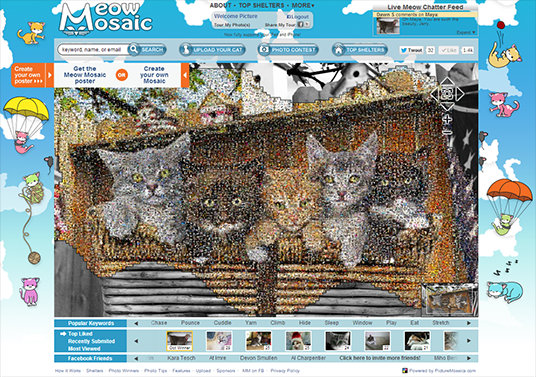 cat photo mosaic